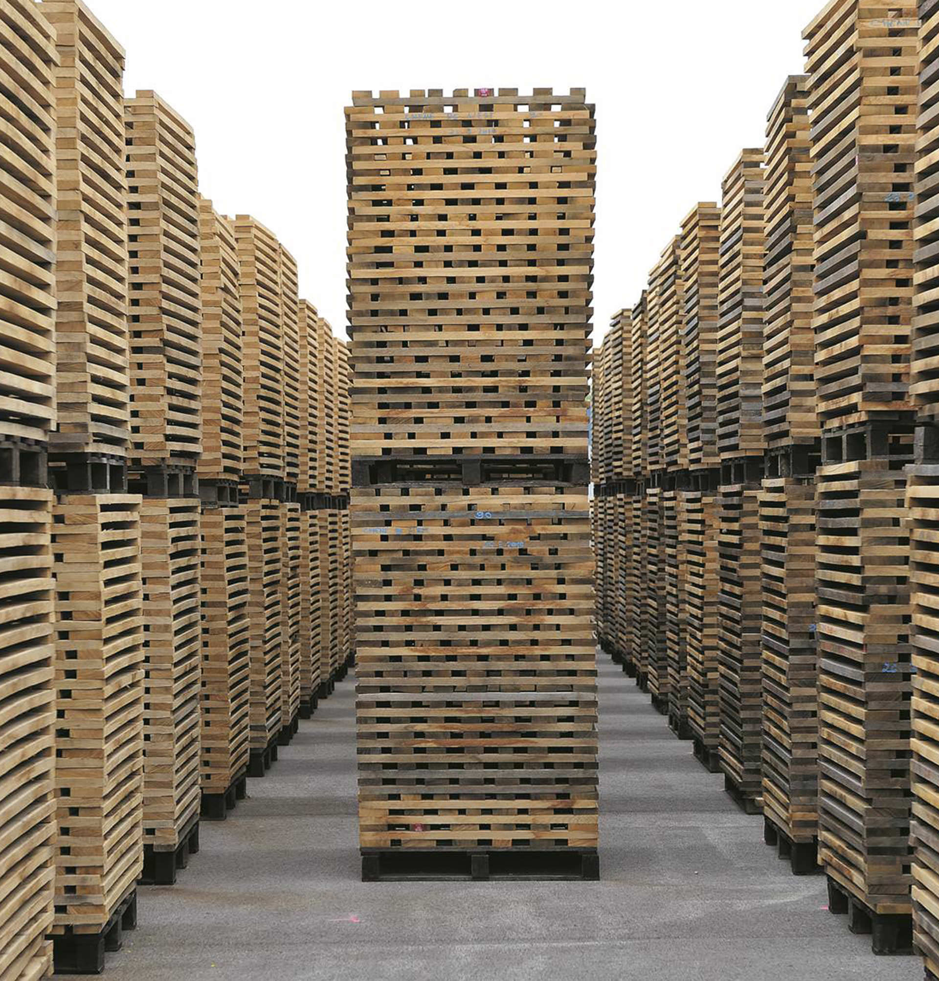 L’efficience Merrains du Jura